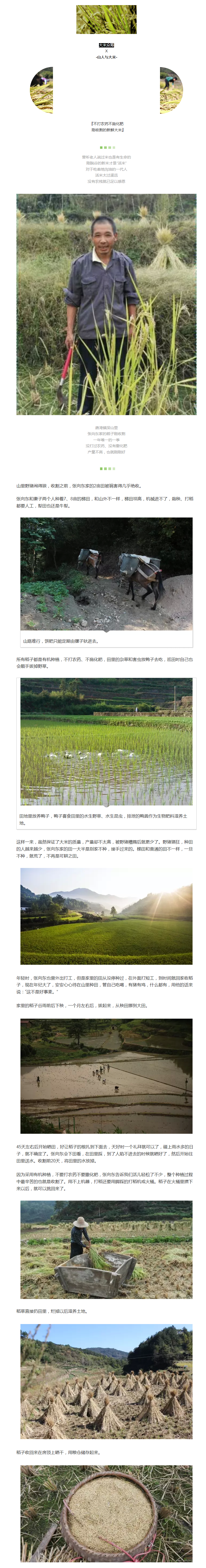 吃一碗安心大米，与2016年作别 - 副本