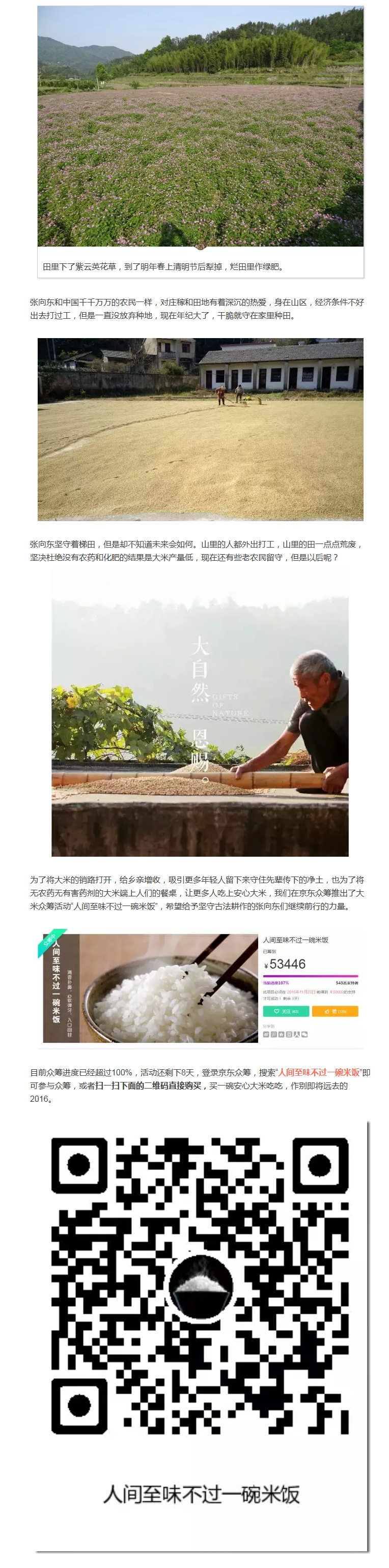 吃一碗安心大米，与2016年作别 - 副本 (2)