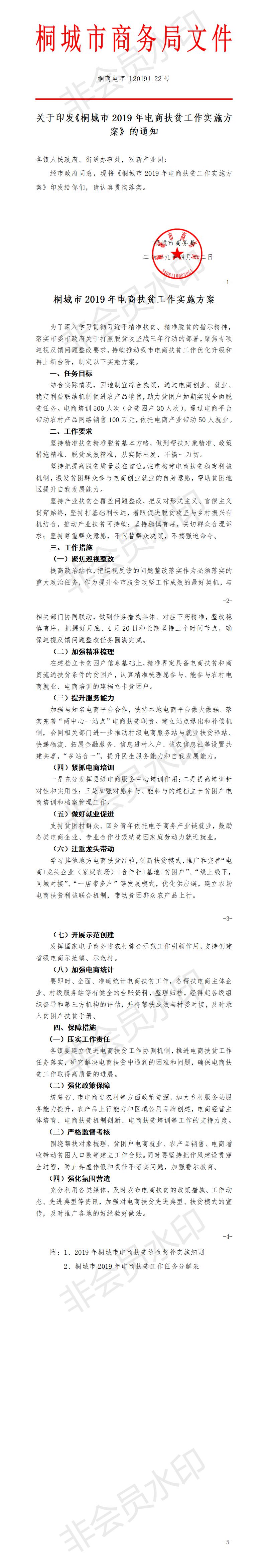 关于印发《桐城市2019年电商扶贫工作实施方案》的通知-22号